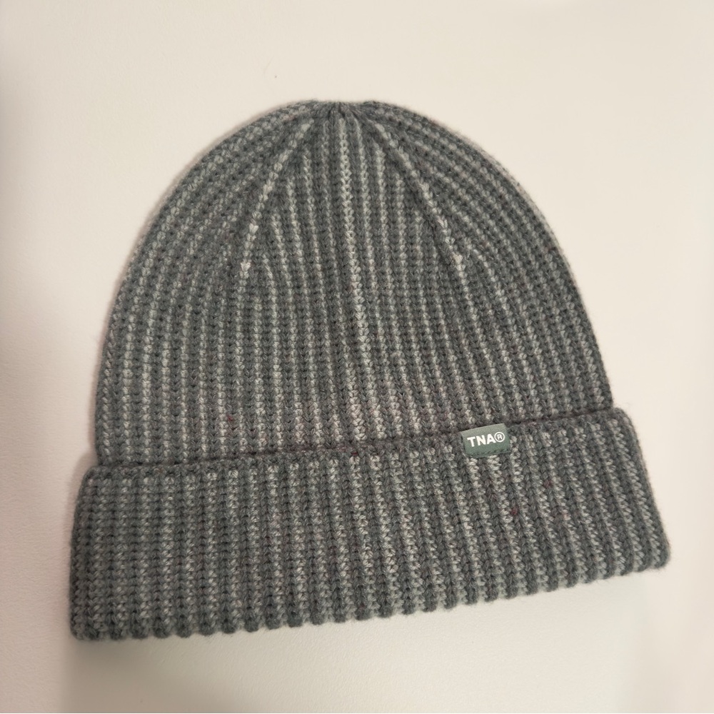 Aritzia TNA beanie